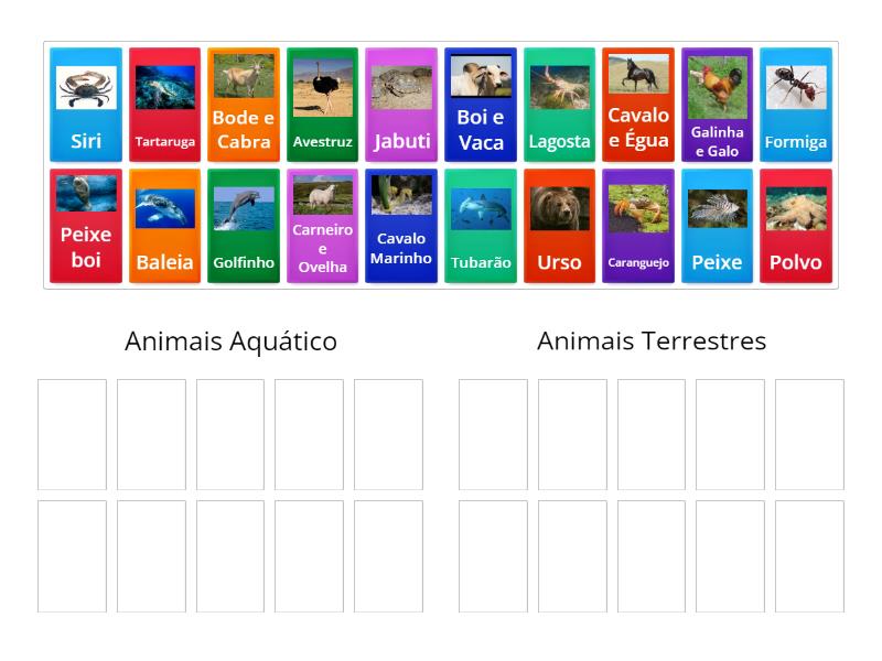 Animais: Aquático X Terrestres - Classificação em grupos