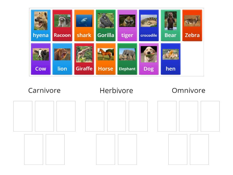 Carnivore, Herbivore and omnivore - Group sort