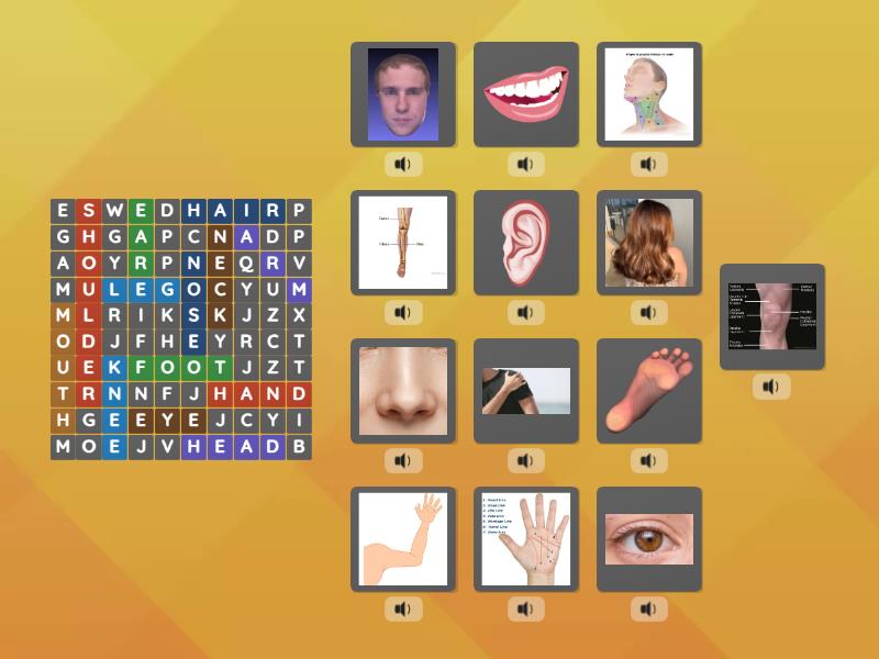 parts of the body - Wordsearch