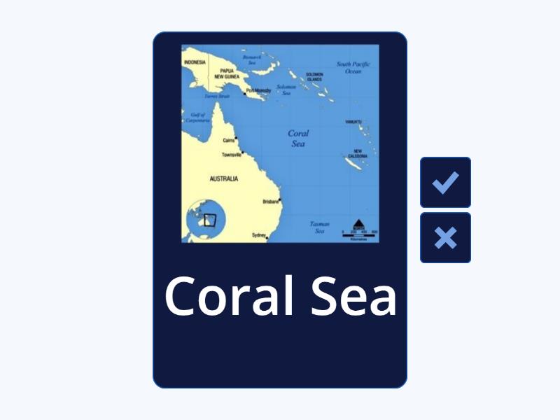 Om Books International 99 Questions and Answers Seas and Oceans Flash Cards main image 1