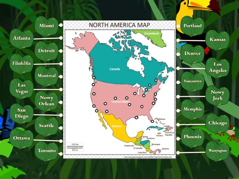 Sprawdzian Geografia Klasa 8 Usa I Kanada USA i Kanada miasta - Labelled diagram