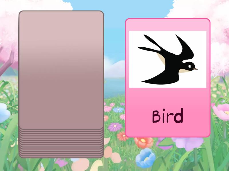 Family And Friends 2 Unit Starter Lesson 3 Speaking Speaking Cards