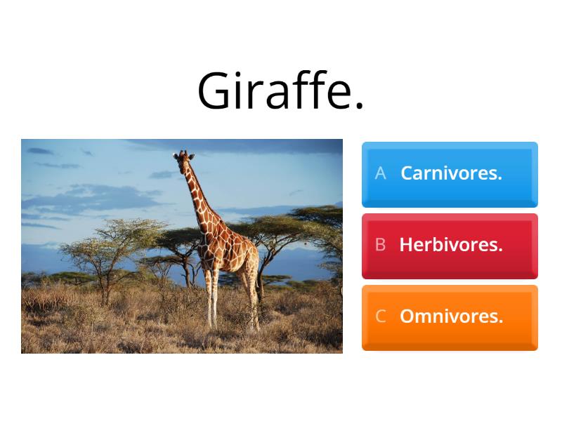 Herbivores, Carnivores And Omnivores. - Quiz