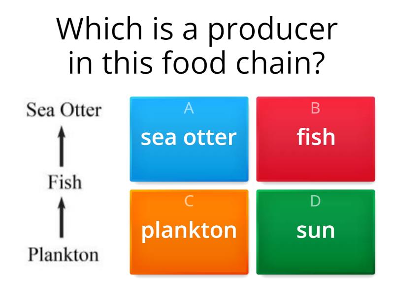 Food Webs Quiz