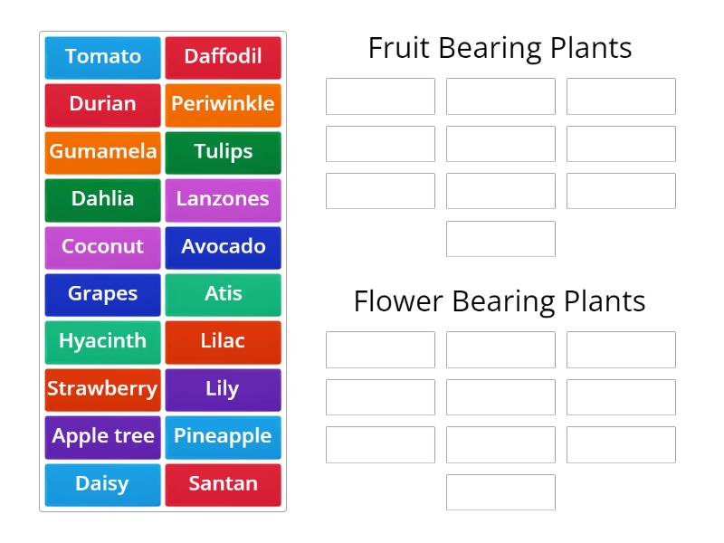 Kinds of Plants (Fruit bearing and Flower bearing) Group sort