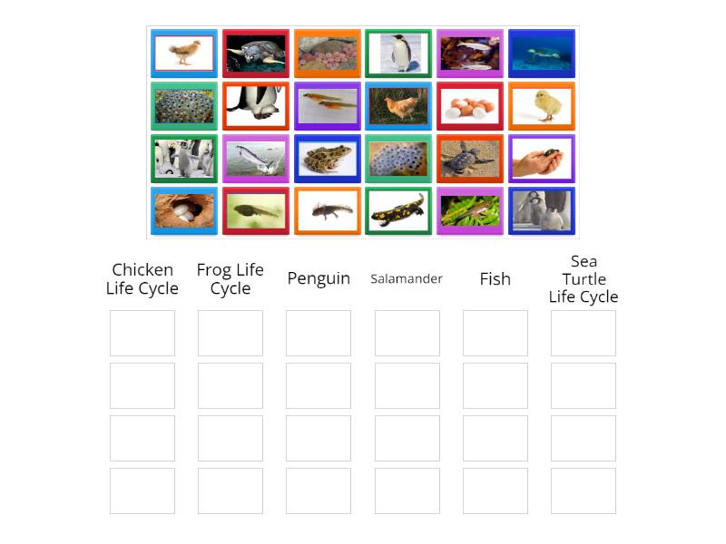 Life Cycle Sort - Group sort