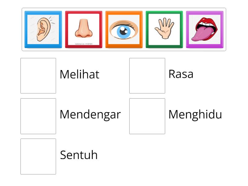 Padankan gambar organ deria manusia dengan deria rasa yang betul ...