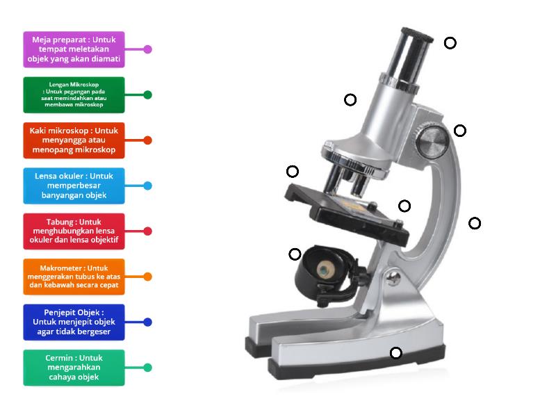 Bagian-bagian Mikroskop Dan Fungsinya - Labelled Diagram