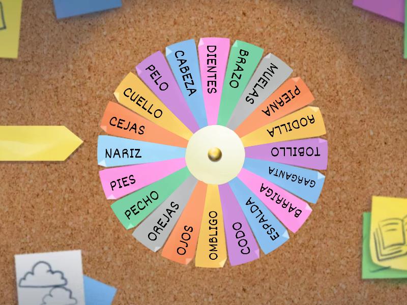 PARTES DEL CUERPO - Spin the wheel