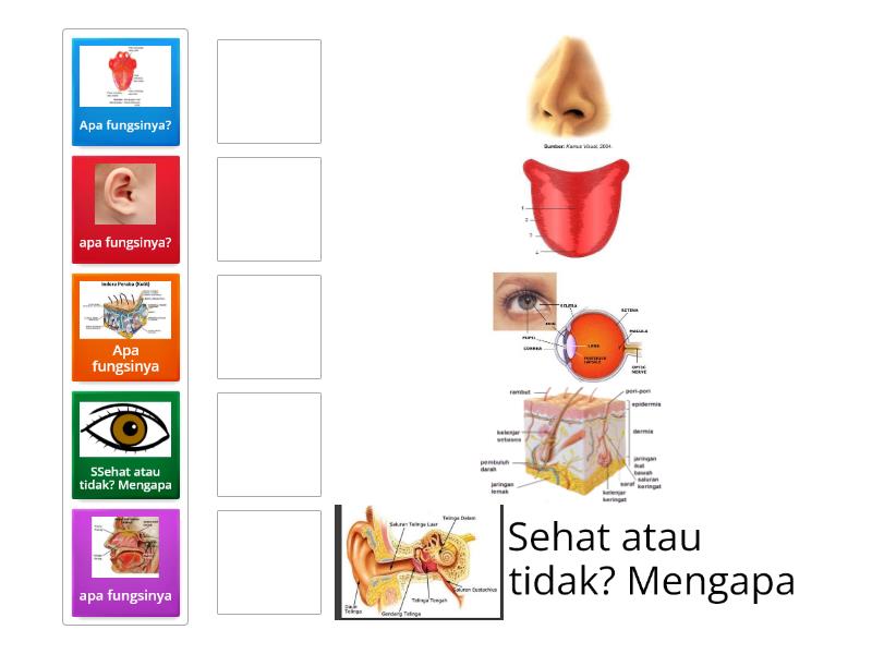 panca indra - Match up