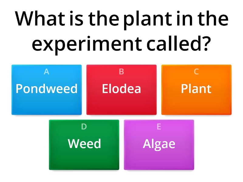 photosynthesis elodea experiment