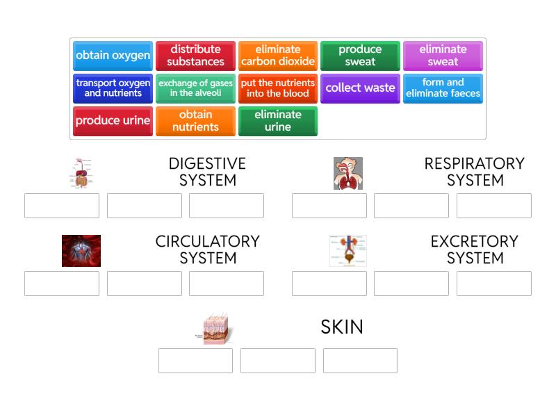 Nutrition: systems and functions - Organizza per gruppo
