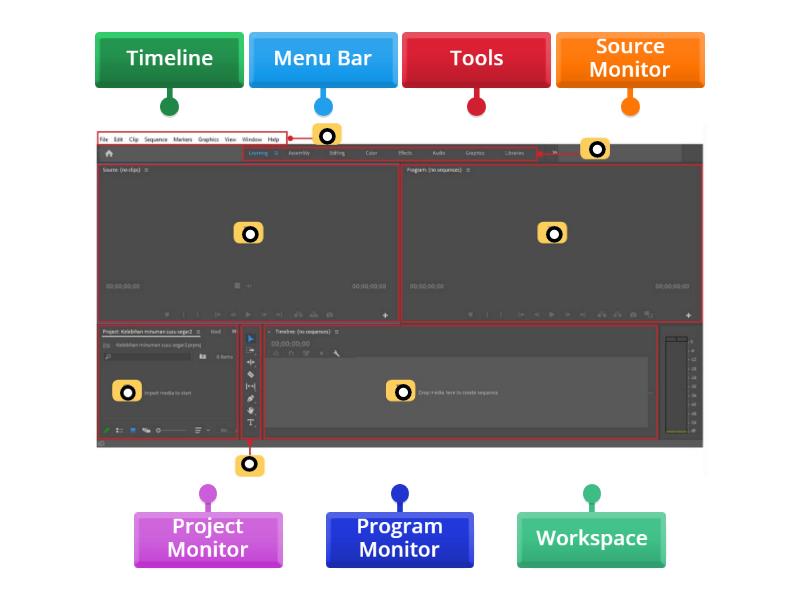 adobe premiere pro nima