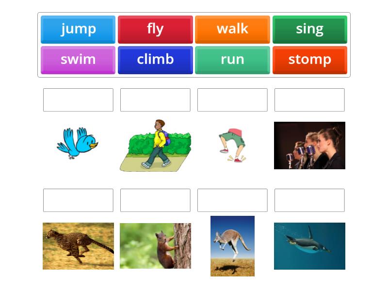 FF1 Unit 10 Animals, actions - Match up
