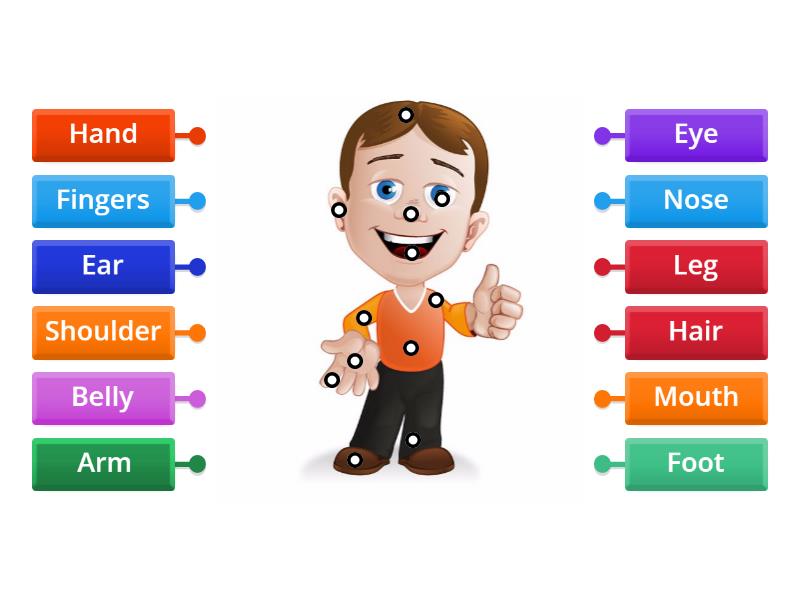 The Human Body - Starters - Kids - Labelled Diagram