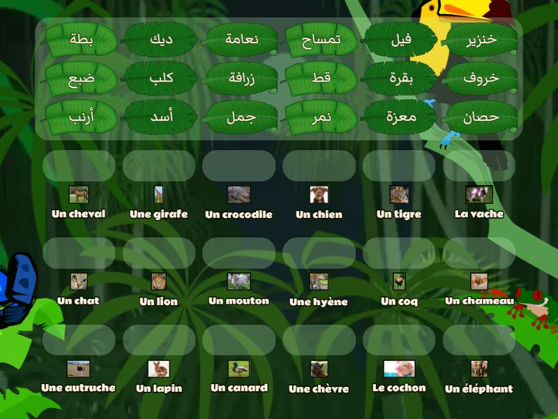 Exemples de quelques animaux en francais et leurs synonymes en arabe