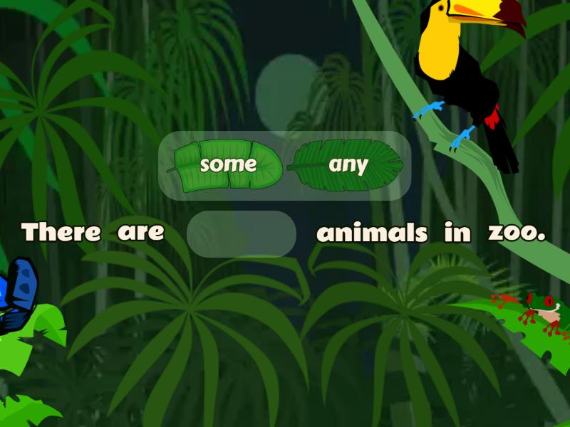 as2-unit-1-some-any-with-animals