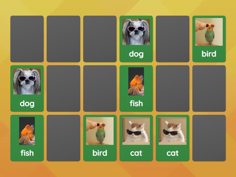 my pet - Matching pairs