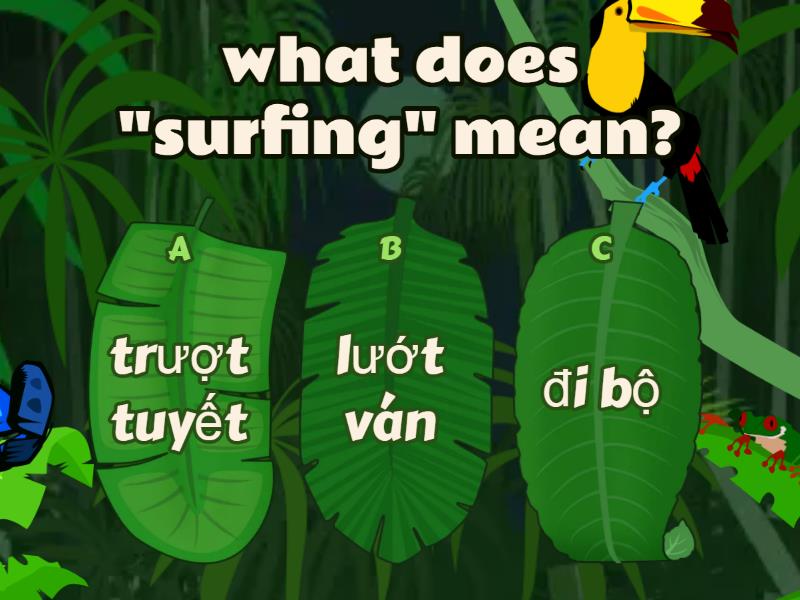 PHYSICAL ACTIVITIES Quiz