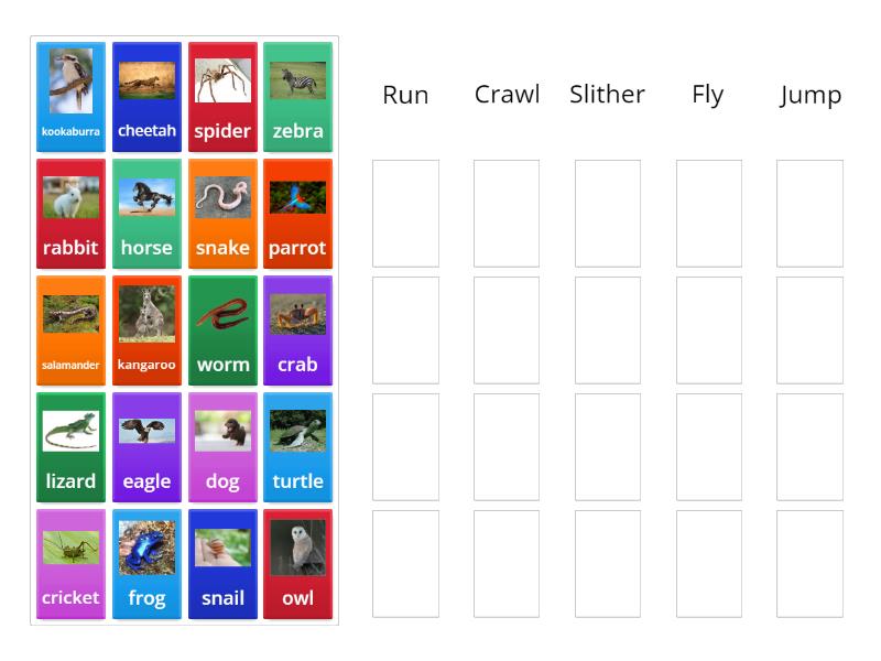 How do these animals move? - Group sort