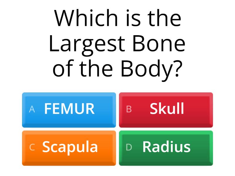 Body parts - Quiz