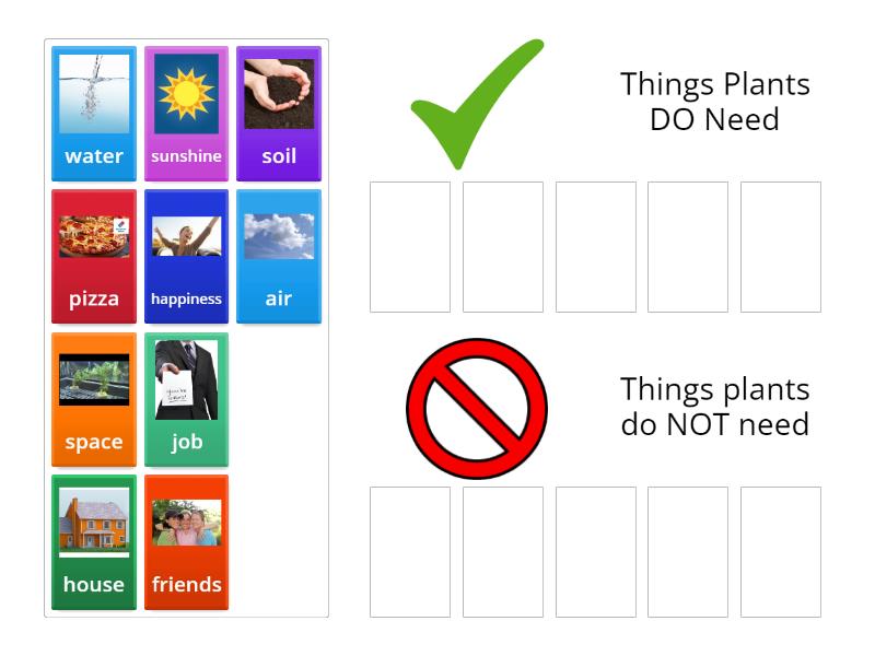 What plants need to grow ordenar por grupo