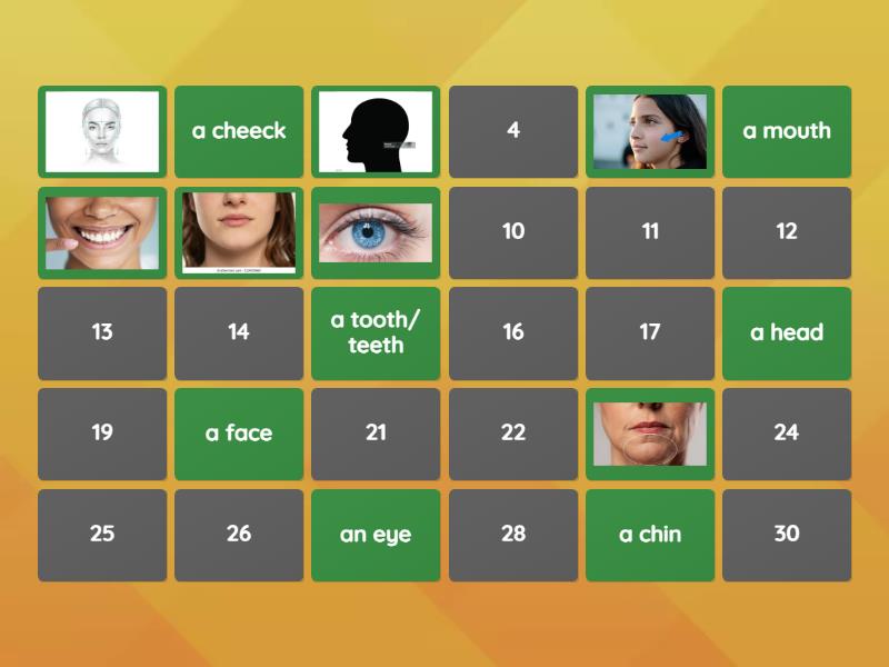 the parts of the face - Matching pairs