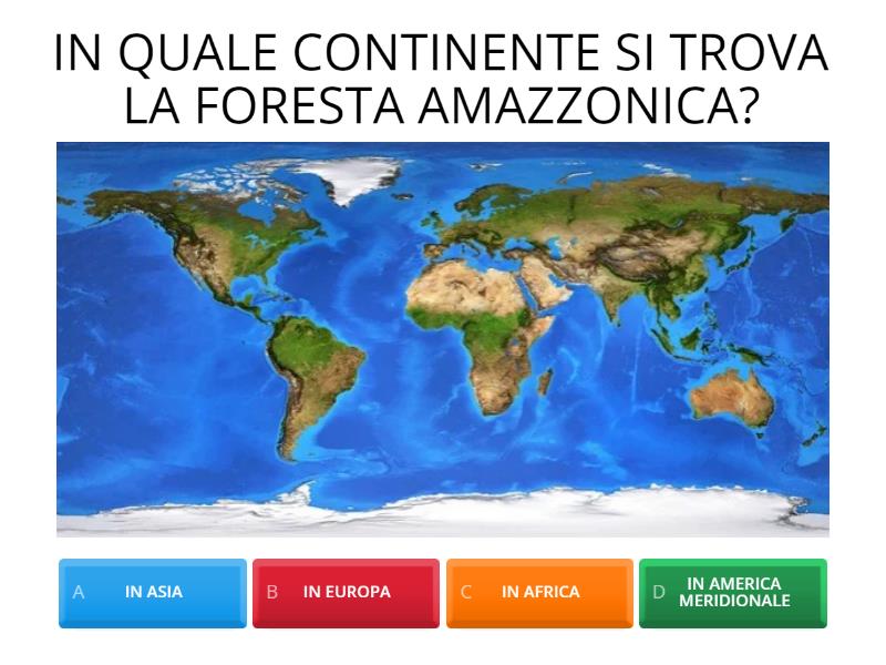 LA FORESTA AMAZZONICA E LA SUA BIODIVERSITA' - Pagsusulit