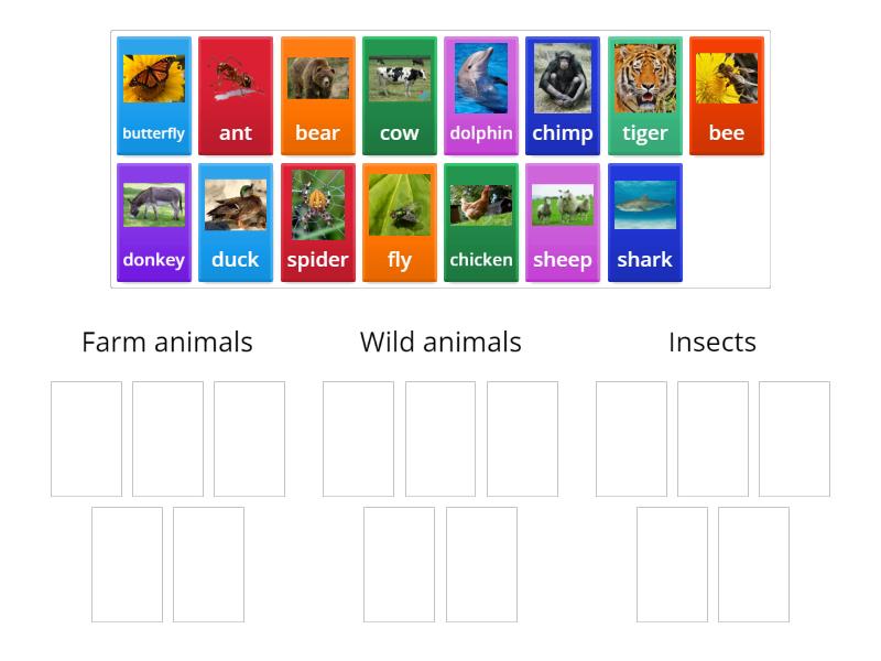 Wider World 2. Unit 3. Animals Sort - Group Sort