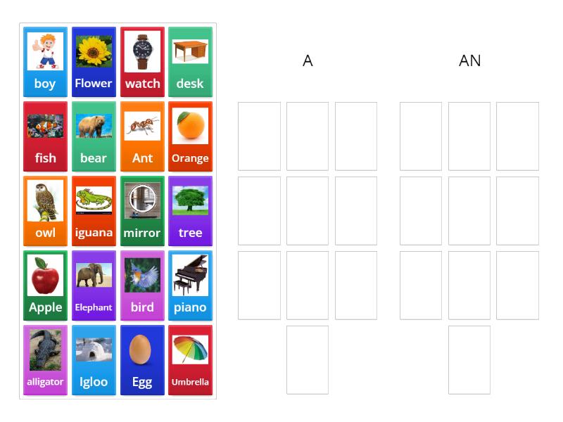Lesson 2 - Put things in the correct column A/An - Điền từ vào đúng cột ...
