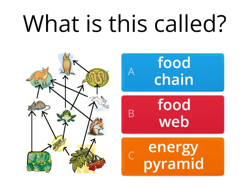 ecology-review-quiz