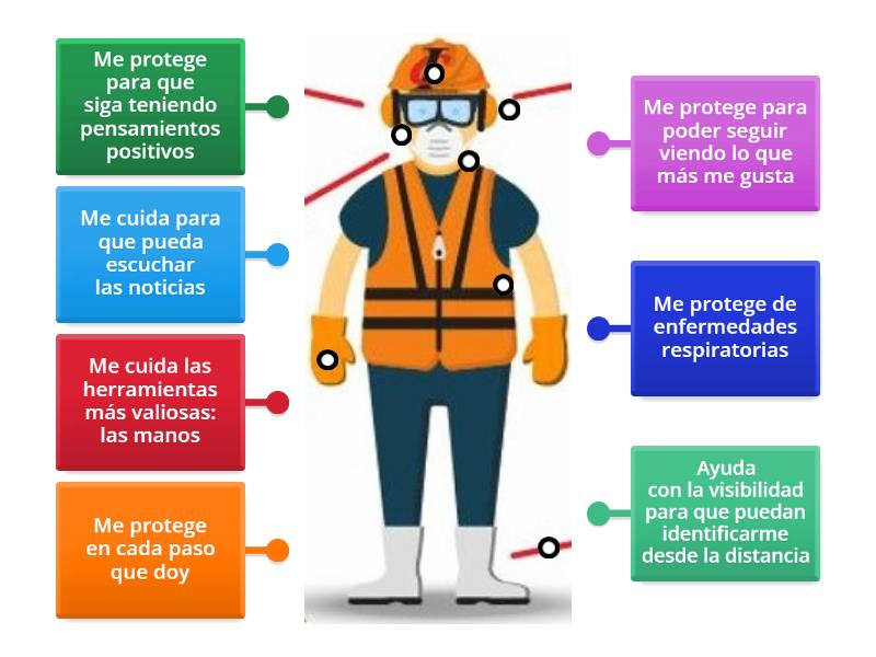 Actividad PPE - Labelled diagram