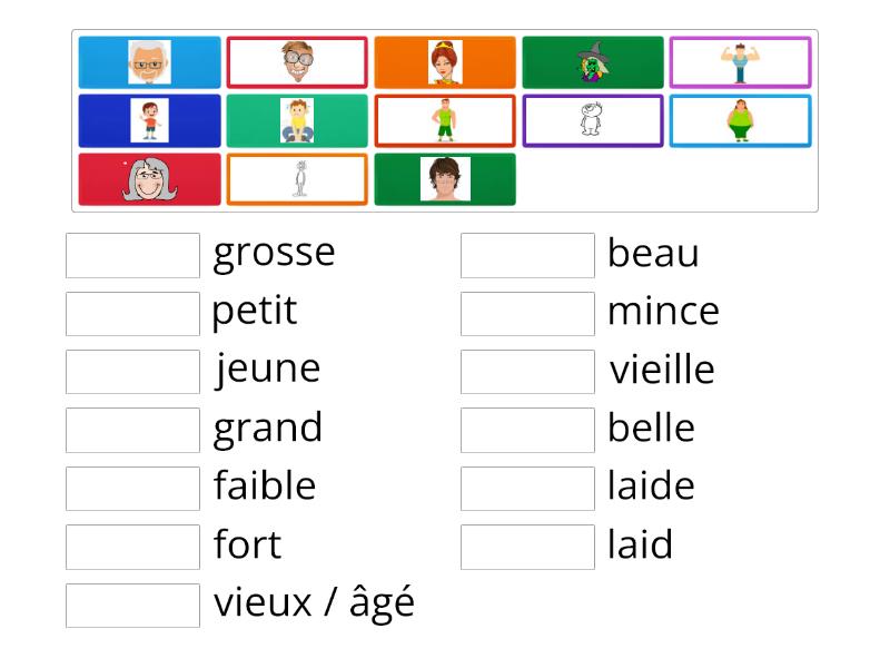 Les adjectifs (physique) - Match up