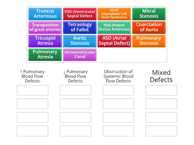 Categories of Congenital Heart Defects - Group sort