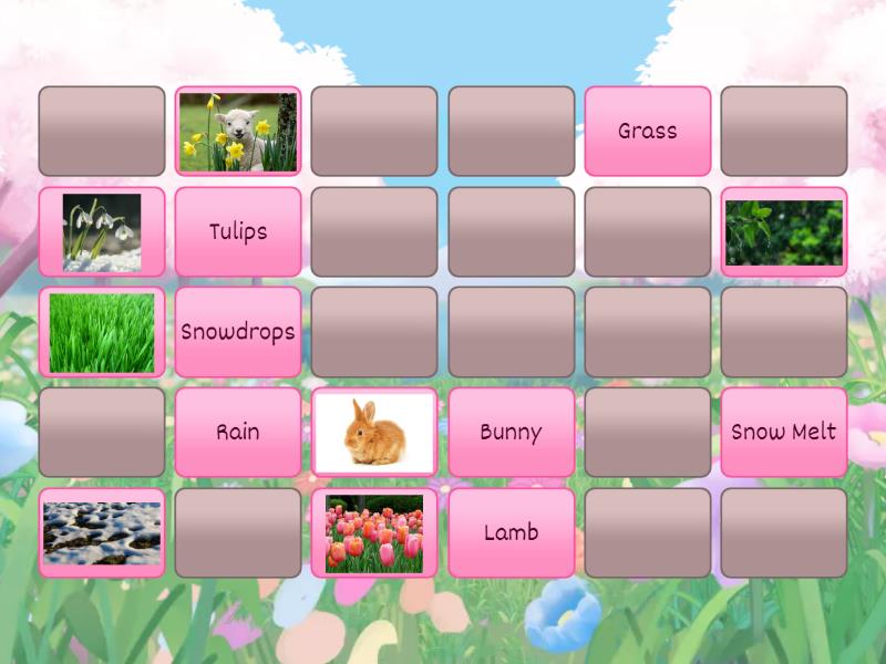 Spring matching pairs