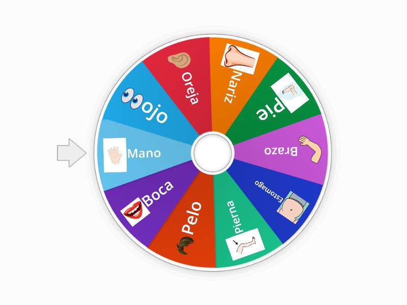 Partes del cuerpo - Spin the wheel