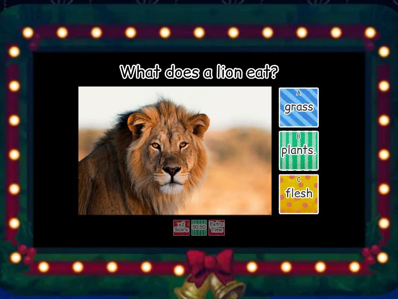 what-animals-eat-gameshow-quiz