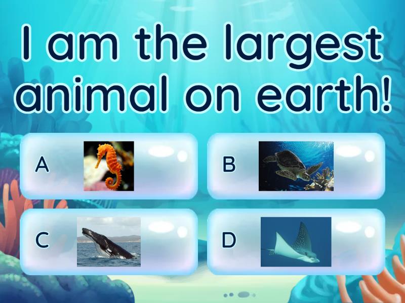 Guess The Ocean Habitat - Quiz