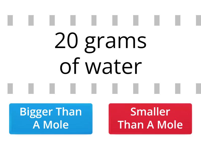 bigger-or-smaller-than-a-mole-true-or-false