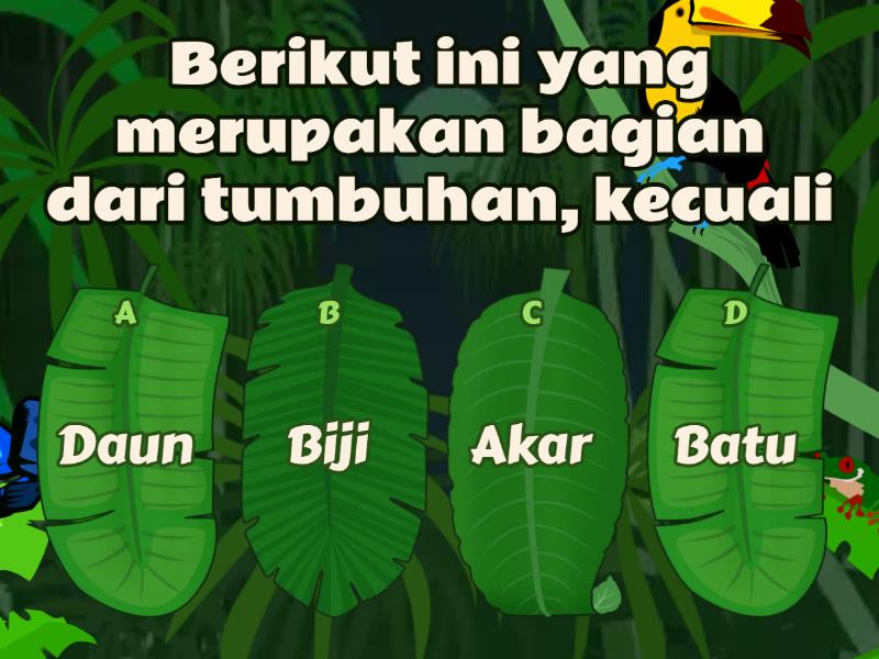 Struktur Tumbuhan Dan Fungsinya - Quiz