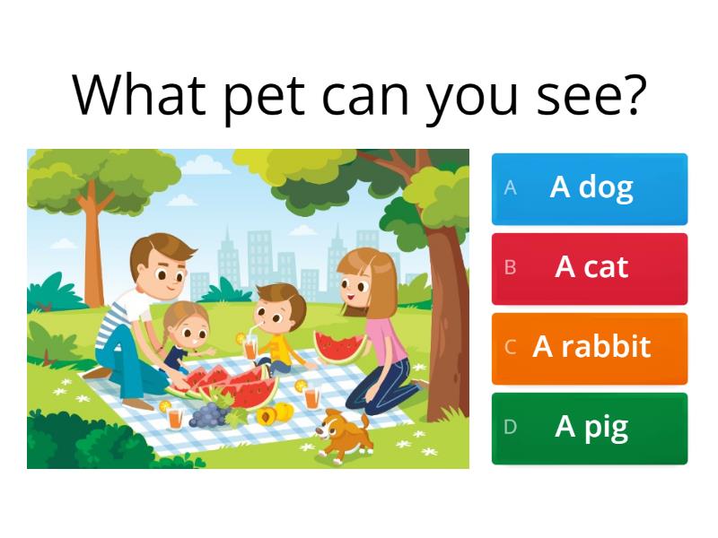 Посмотри на картинку и ответь на вопросы - Викторина