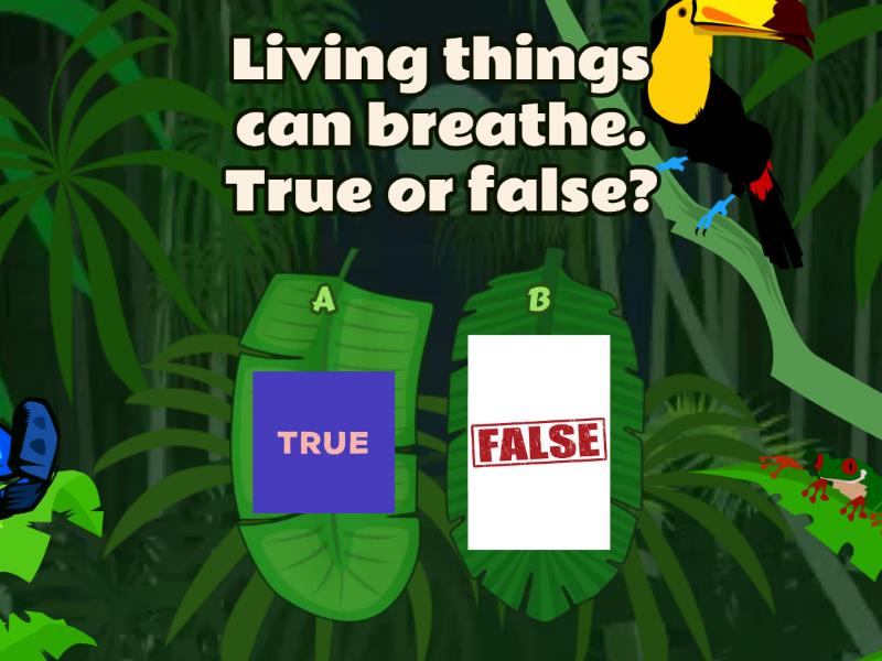 y1d-living-and-non-living-things-quiz