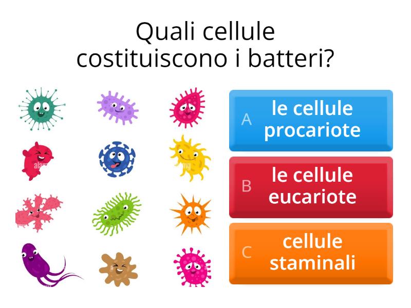 La Cellula Eucariote E Procariote - Quiz