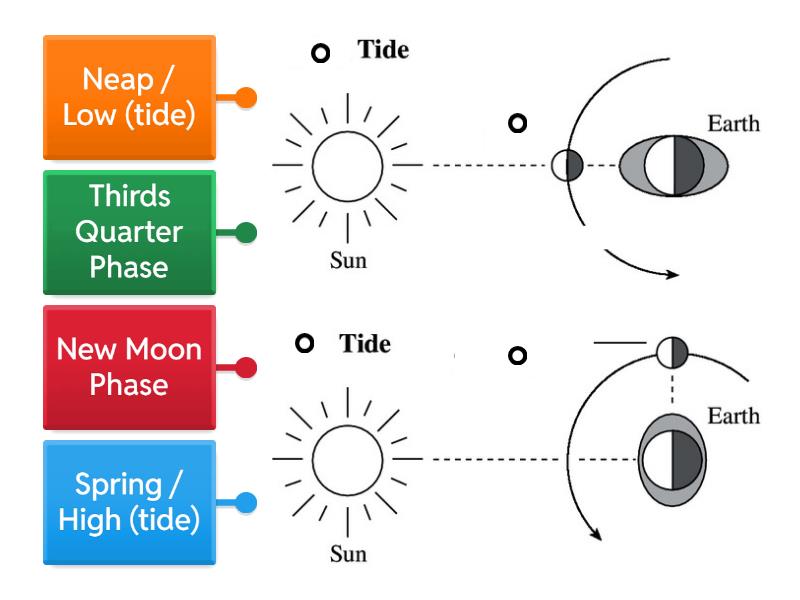 Tides and Moon phases - Labelled diagram