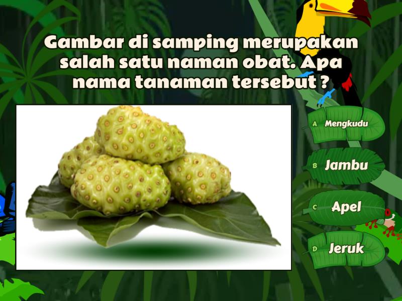 MACAMMACAM TANAMAN OBAT DAN MANFAATNYA Quiz