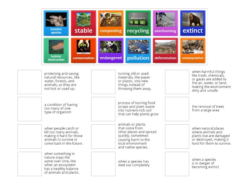 Human Impact on Ecosystems - Match up