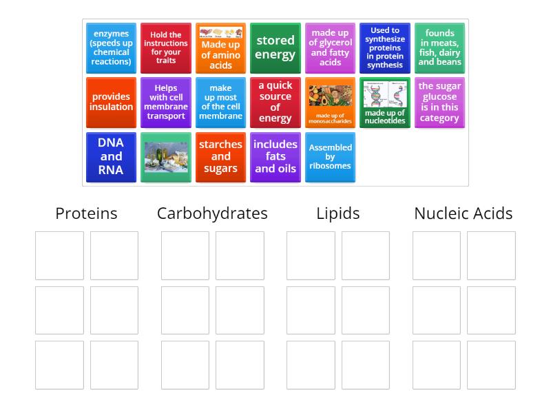 Biomolecules Sorting Group sort