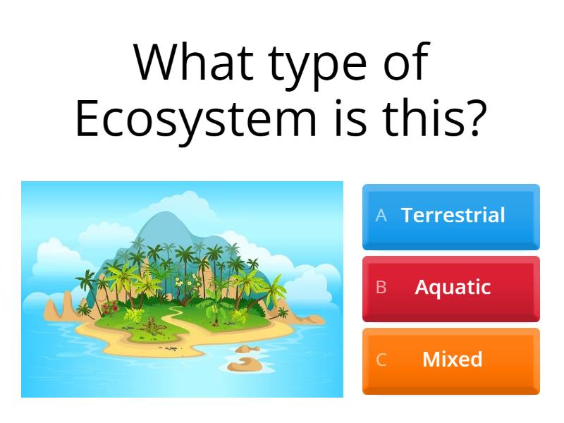 ECOSYSTEMS - Quiz