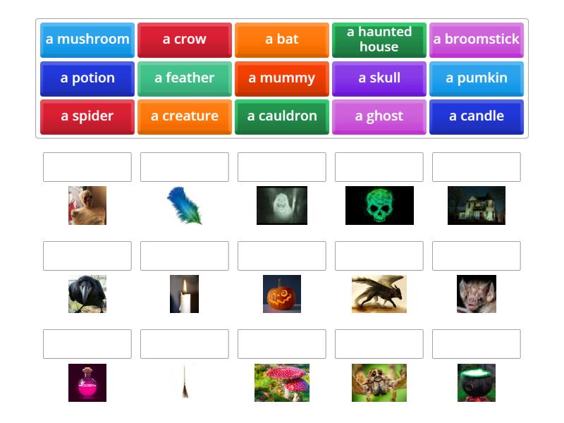 Match pictures to the words - Match up