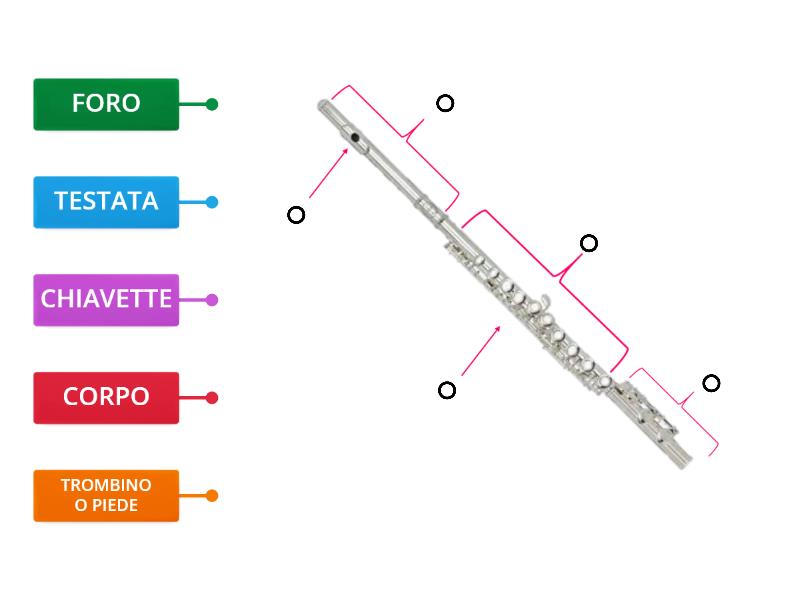 Le Parti Del Flauto Traverso Labelled Diagram